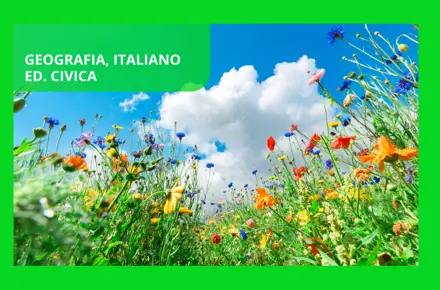 Dillo con un albo: Tanti e diversi