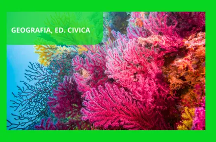 Biomi a rischio: la barriera corallina