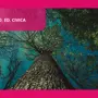 Lezioni digitali - La giusta distanza: la lezione di Italo Calvino