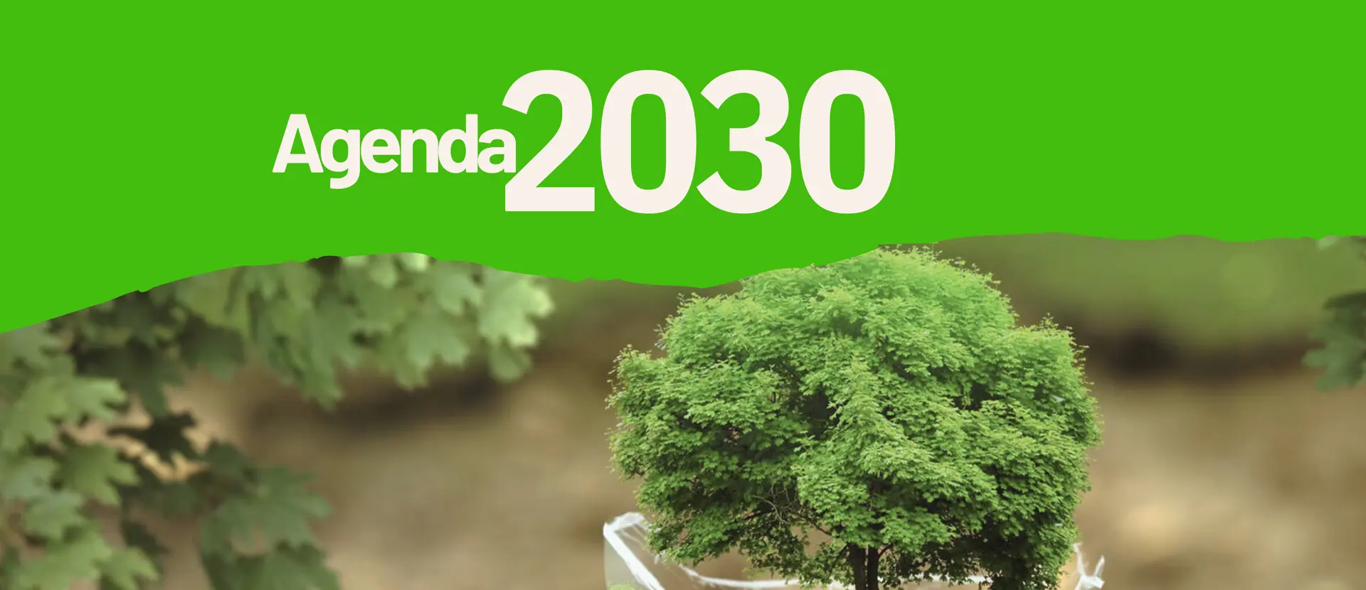 AGENDA 2030 • Educazione civica, Sostenibilità, Orientamento