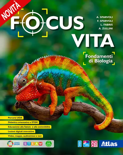 Focus vita