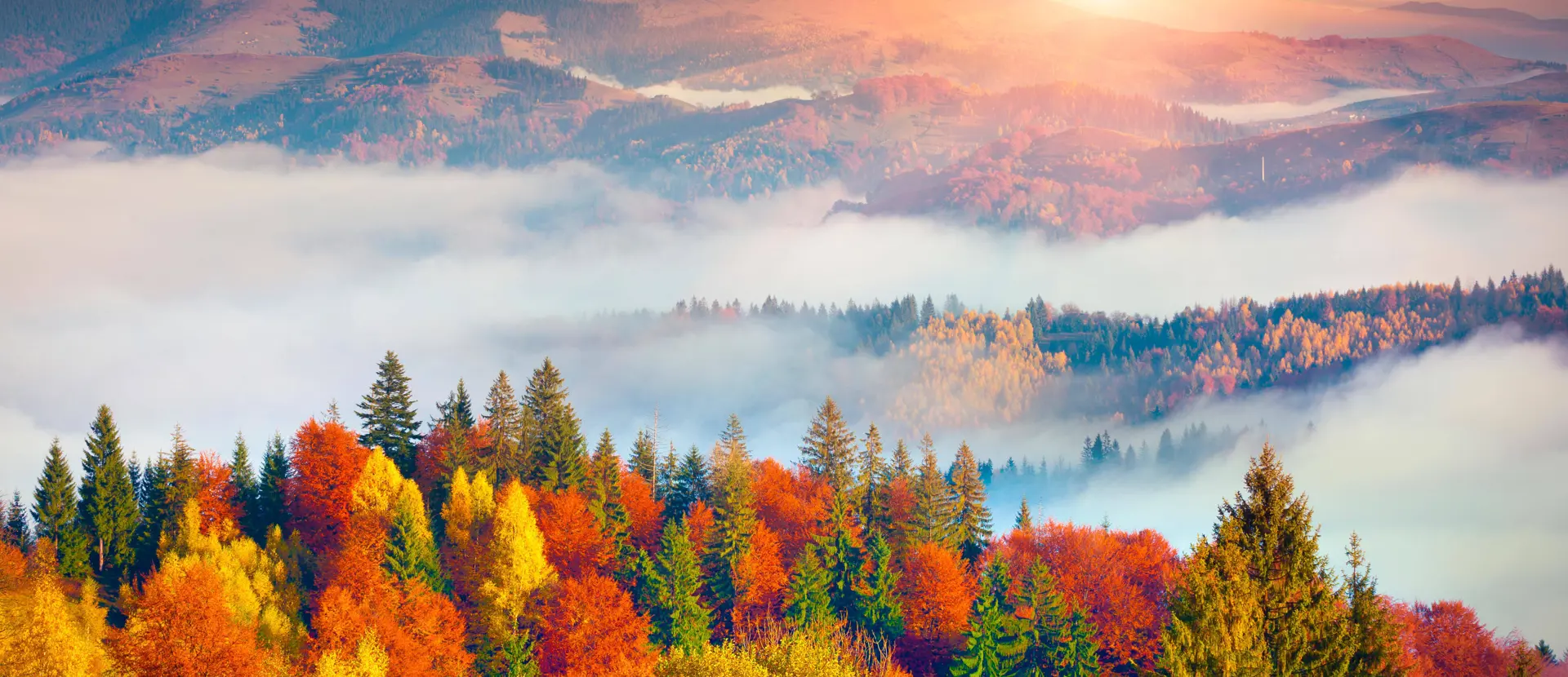 Autunno:|stagione di poesia