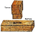 1tenon.jpg